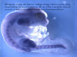 Therapeutic cloning, also know as "embryo cloning" which is used to create cloned embryos for research purposes. The use of this is mostly for stem cell research, so that scientists can find methods to treat human diseases.