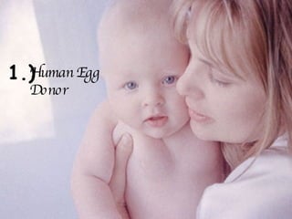 1.) Human Egg Donor