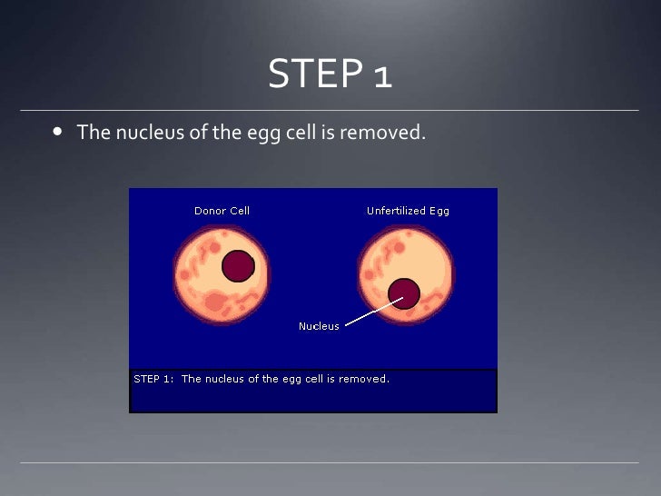 Honolulu Cloning Technique