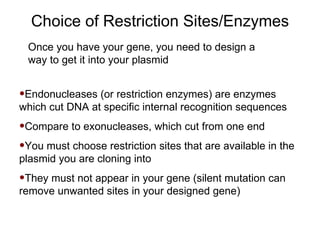 Endonucleases (or restriction enzymes) are enzymes which cut DNA at specific internal recognition sequences Compare to exonucleases, which cut from one end You must choose restriction sites that are available in the plasmid you are cloning into They must not appear in your gene (silent mutation can remove unwanted sites in your designed gene) Choice of Restriction Sites/Enzymes Once you have your gene, you need to design a way to get it into your plasmid 