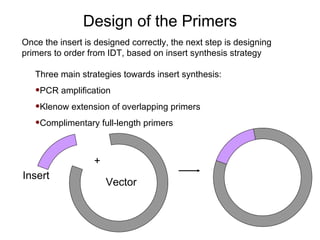 Once the insert is designed correctly, the next step is designing primers to order from IDT, based on insert synthesis strategy Design of the Primers Three main strategies towards insert synthesis: PCR amplification Klenow extension of overlapping primers Complimentary full-length primers + Insert Vector 