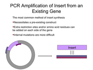 The most common method of insert synthesis Necessitates a pre-existing construct Extra restriction sites and/or amino acid residues can be added on each side of the gene Internal mutations are more difficult PCR Amplification of Insert from an Existing Gene Insert 