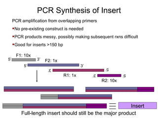 PCR amplification from overlapping primers No pre-existing construct is needed PCR products messy, possibly making subsequent rxns difficult Good for inserts >150 bp PCR Synthesis of Insert F1: 10x F2: 1x R1: 1x R2: 10x 5’ 3’ 5’ 3’ 5’ 3’ 5’ 3’ Full-length insert should still be the major product Insert 