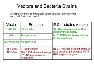 Vectors and Bacteria Strains An important thing to think about before you start cloning: What vectors/E Coli should I use? pET-Duet pRSF-Duet pCANTAB-5E pMAL pQE-30 Vector BL-21: Protease deficient, stable to toxic proteins, and contains the T7 RNA polymerase gene T7 lac promoter (An E. Coli strain with phage T7 RNA polymerase is necessary)  Plac promoter Ptac promoter XL1-Blue: mostly good for DNA isolation/phage display M15(pREP4): tighter regulation of the lac suppressor  T5 promoter E Coli strains we use Promoter 