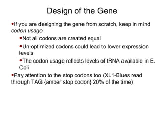 Design of the Gene If you are designing the gene from scratch, keep in mind  codon usage Not all codons are created equal Un-optimized codons could lead to lower expression levels The codon usage reflects levels of tRNA available in E. Coli Pay attention to the stop codons too (XL1-Blues read through TAG {amber stop codon} 20% of the time) 