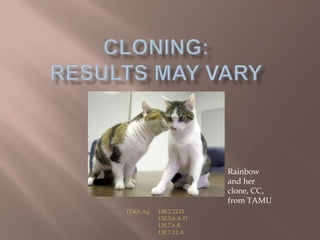 Rainbow
                         and her
                         clone, CC,
                         from TAMU
TEKS Ag:   130.2.12.D
           130.3.6.A-D
           130.7.6.B
           130.7.12.A
 