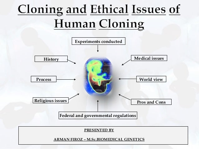 History of Cloning and Ethical Issues of Human Cloning diagram of stages of genetic engineering 