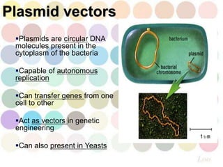 Plasmids are circular DNA
molecules present in the
cytoplasm of the bacteria
Capable of autonomous
replication
Can transfer genes from one
cell to other
Act as vectors in genetic
engineering
Can also present in Yeasts
Plasmid vectors
 