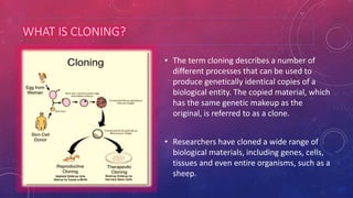 Cloning #SciChallenge2017 | PPTX