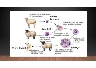 Cloning | PDF | Biological Sciences | Science