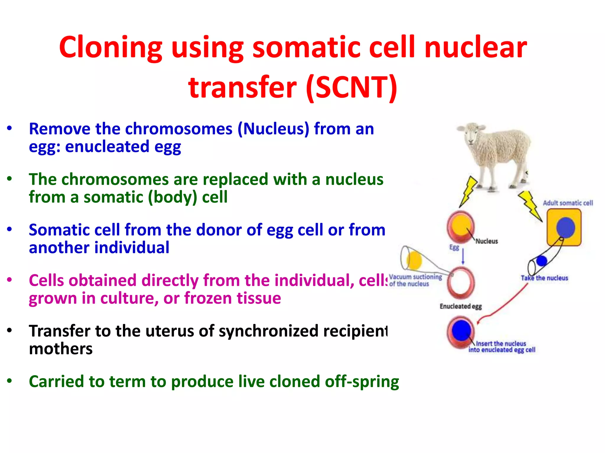 Cloning | PPTX