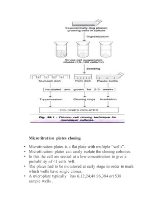 Cloning | DOCX