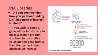 Cloning.ppt
