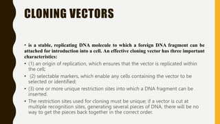 cloning vectors-genetic engineering.pptx