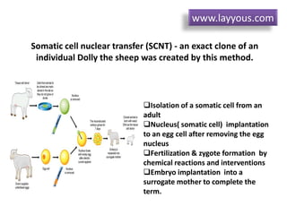 Somatic cell nuclear transfer (SCNT) - an exact clone of an
individual Dolly the sheep was created by this method.
Isolation of a somatic cell from an
adult
Nucleus( somatic cell) implantation
to an egg cell after removing the egg
nucleus
Fertilization & zygote formation by
chemical reactions and interventions
Embryo implantation into a
surrogate mother to complete the
term.
www.layyous.com
 