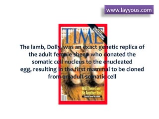 The lamb, Dolly, was an exact genetic replica of
the adult female sheep who donated the
somatic cell nucleus to the enucleated
egg, resulting in the first mammal to be cloned
from an adult somatic cell
www.layyous.com
 