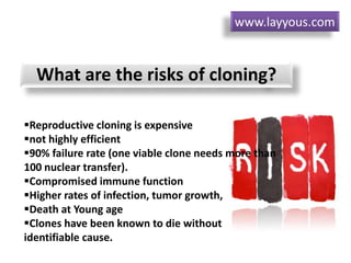 Reproductive cloning is expensive
not highly efficient
90% failure rate (one viable clone needs more than
100 nuclear transfer).
Compromised immune function
Higher rates of infection, tumor growth,
Death at Young age
Clones have been known to die without
identifiable cause.
What are the risks of cloning?
www.layyous.com
 