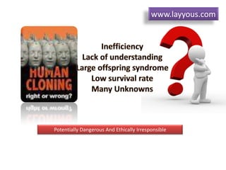 Potentially Dangerous And Ethically Irresponsible
www.layyous.com
 