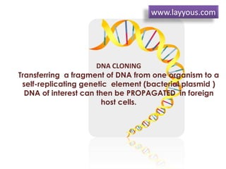 DNA CLONING
Transferring a fragment of DNA from one organism to a
self-replicating genetic element (bacterial plasmid )
DNA of interest can then be PROPAGATED in foreign
host cells.
www.layyous.com
 