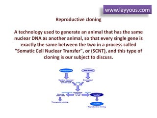 Reproductive cloning
A technology used to generate an animal that has the same
nuclear DNA as another animal, so that every single gene is
exactly the same between the two in a process called
"Somatic Cell Nuclear Transfer", or (SCNT), and this type of
cloning is our subject to discuss.
www.layyous.com
 
