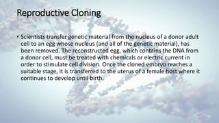 Reproductive Cloning
• Scientists transfer genetic material from the nucleus of a donor adult
cell to an egg whose nucleus (and all of the genetic material), has
been removed. The reconstructed egg, which contains the DNA from
a donor cell, must be treated with chemicals or electric current in
order to stimulate cell division. Once the cloned embryo reaches a
suitable stage, it is transferred to the uterus of a female host where it
continues to develop until birth.
 