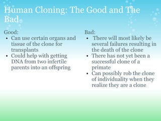 Human Cloning: The Good and The Bad Good: Can use certain organs and tissue of the clone for transplants Could help with getting DNA from two infertile parents into an offspring Bad:   There will most likely be several failures resulting in the death of the clone There has not yet been a successful clone of a primate Can possibly rob the clone of individuality when they realize they are a clone 