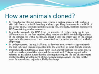 How are animals cloned?
 In reproductive cloning, researchers remove a mature somatic cell, such as a
skin cell, from an ...