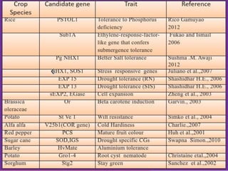 Cloning and characterization of full length candidate genes | PPTX