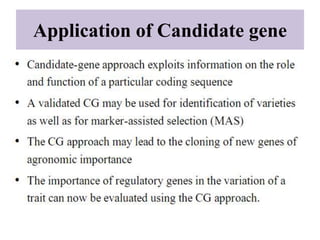 Cloning and characterization of full length candidate genes | PPTX
