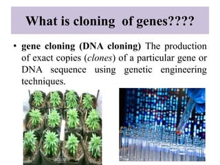 Cloning and characterization of full length candidate genes | PPTX