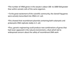 •The number of rRNA genes in the oocyte is about 100- to 1000-fold greater
than within somatic cells of the same organism.
• To the great excitement of the scientific community, the cloned frog genes
were actively transcribed into rRNA in E. coli.
•This showed that recombinant plasmids containing both eukaryotic and
prokaryotic DNA replicate stably in E. coli.
•Thus, genetic engineering could produce new combinations of genes that
had never appeared in the natural environment, a feat which led to
widespread concern about the safety of recombinant DNA work
 