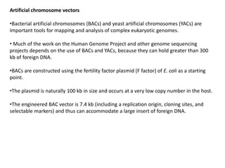Artificial chromosome vectors
•Bacterial artificial chromosomes (BACs) and yeast artificial chromosomes (YACs) are
important tools for mapping and analysis of complex eukaryotic genomes.
• Much of the work on the Human Genome Project and other genome sequencing
projects depends on the use of BACs and YACs, because they can hold greater than 300
kb of foreign DNA.
•BACs are constructed using the fertility factor plasmid (F factor) of E. coli as a starting
point.
•The plasmid is naturally 100 kb in size and occurs at a very low copy number in the host.
•The engineered BAC vector is 7.4 kb (including a replication origin, cloning sites, and
selectable markers) and thus can accommodate a large insert of foreign DNA.
 