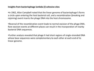 Insights from bacteriophage lambda (l) cohesive sites
•In 1962, Allan Campbell noted that the linear genome of bacteriophage λ forms
a circle upon entering the host bacterial cell, and a recombination (breaking and
rejoining) event inserts the phage DNA into the host chromosome.
•Reversal of the recombination event leads to normal excision of the phage DNA.
Rare excision events at different places can result in the incorporation of nearby
bacterial DNA sequences.
•Further analysis revealed that phage λ had short regions of single-stranded DNA
whose base sequences were complementary to each other at each end of its
linear genome.
 