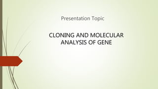 Cloning and molecular analysis of gene | PPTX