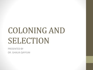 COLONING AND
SELECTION
PRESENTED BY
DR. GHALIA QAYYUM
 