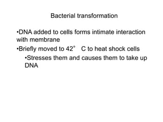 Bacterial transformation
•DNA added to cells forms intimate interaction
with membrane
•Briefly moved to 42° C to heat shock cells
•Stresses them and causes them to take up
DNA