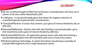 Cloning and types of cloning | PPTX