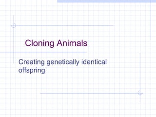 Cloning Animals
Creating genetically identical
offspring
 