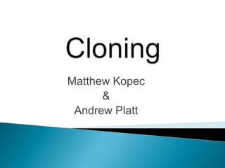 Cloning Matthew Kopec & Andrew Platt 