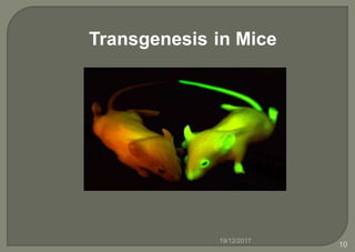 Transgenesis in Mice
19/12/2017
10
 