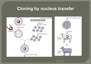 Cloning by nucleus transfer
19/12/2017
17
 