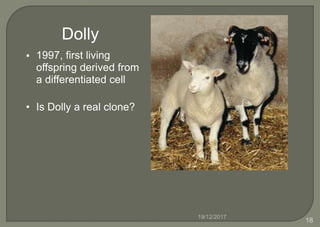 Dolly
1997, first living
offspring derived from
a differentiated cell
•
• Is Dolly a real clone?
19/12/2017
18
 