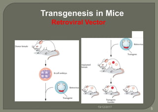 Transgenesis in Mice
Retroviral Vector
19/12/2017
5
 
