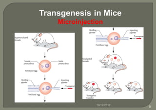 Transgenesis in Mice
Microinjection
19/12/2017
8
 