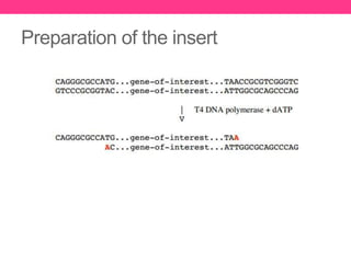 Cloning : DNA preparation | PPTX