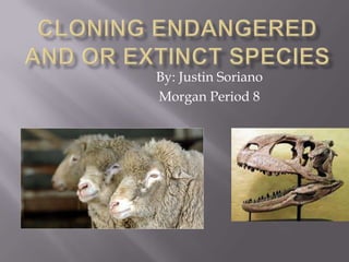 Cloning Endangered and or Extinct Species By: Justin Soriano Morgan Period 8 