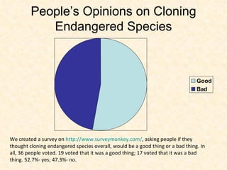 People’s Opinions on Cloning Endangered Species We created a survey on  http://www.surveymonkey.com/ , asking people if they thought cloning endangered species overall, would be a good thing or a bad thing. In all, 36 people voted. 19 voted that it was a good thing; 17 voted that it was a bad thing. 52.7%- yes; 47.3%- no.  