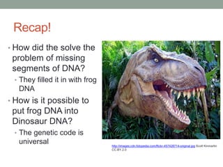 Recap!
• How did the solve the
problem of missing
segments of DNA?
• They filled it in with frog
DNA
• How is it possible to
put frog DNA into
Dinosaur DNA?
• The genetic code is
universal http://images.cdn.fotopedia.com/flickr-457428714-original.jpg Scott Kinmartin
CC.BY.2.0
 
