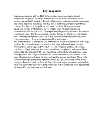 Erythropoiesis
Erythropoiesis starts with the HSC differentiating into committed erythroid
progenitors. Progenitor cells then differentiate into erythroid precursors, which
undergo terminal differentiation through different stages of erythroblastic maturation
and finally become a mature red cell (Fig 1a). In the human, large nucleated blood
cells are first formed in the yolk sac and some enucleate. During the second
gestational month, erythropoiesis moves to fetal liver, wherein smaller and
nonnucleated cells are produced. Then erythropoiesis gradually moves to the marrow
in postnatal phase. The developmentally earliest defined erythroid progenitor is the
burst forming unit erythroid (BFU E). It then develops into more mature erythroid
progenitor colony... Show more content on Helpwriting.net ...
The proerythroblast is a large cell (12 20 Ојm) with a dark blue cytoplasm and a large
nucleus; the chromatin is not condensed in this stage and contains one or more
prominent nucleoli (Higgs and Wood 2011). The cytoplasm contains ribosomes,
centrioles, a Golgi apparatus, few mitochondria and endoplasmic reticulums. These
cells divide into smaller (10 16 Ојm) basophilic erythroblasts which also have dark
blue cytoplasm and a large nucleus but the chromatin is started to condense in this
stage of maturation which can be observed near the nuclear membrane. These cells
then divide into polychromatic erythroblasts (10 12 Ојm), which are known for its
pink cytoplasm and condensed nuclei. Orthochromatic erythroblasts are non dividing
cells with completely condensed pyknotic nuclei. Reticulocytes are easily recognized
by its specific enucleating or nonnucleated
 