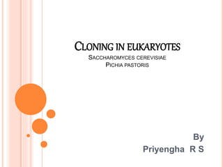 CLONING IN EUKARYOTES
SACCHAROMYCES CEREVISIAE
PICHIA PASTORIS
By
Priyengha R S
 